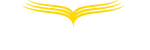 AI Icon